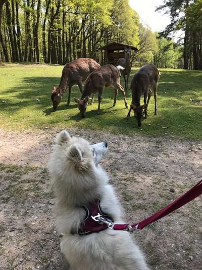 17. Handyfoto – Challenge-Beitrag-Bild