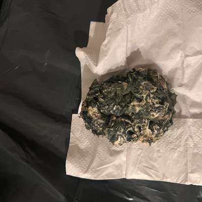 Giftköder-Eventuell Giftköder-Bild