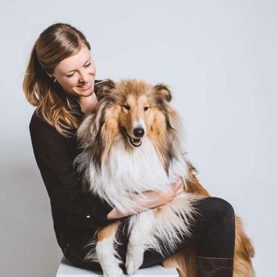 Hundetreffen-Kontakttraining