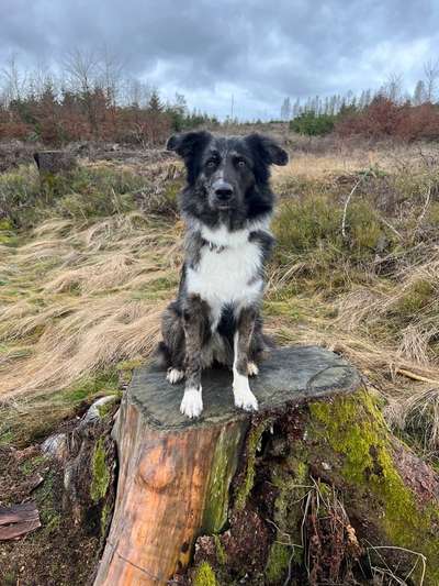 27. Handy Fotochallenge-Beitrag-Bild