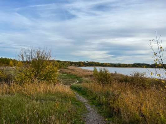 Hundeauslaufgebiet-Gröberner See-Bild