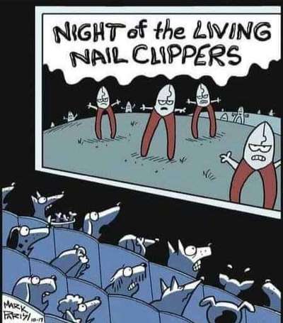 Hunde Memes-Beitrag-Bild