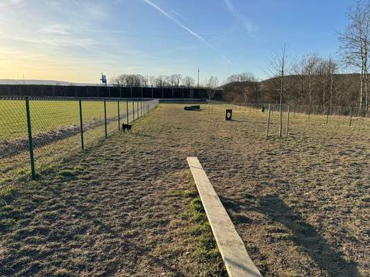 Hundeauslaufgebiet-Hundewiese Wackersdorf-Bild