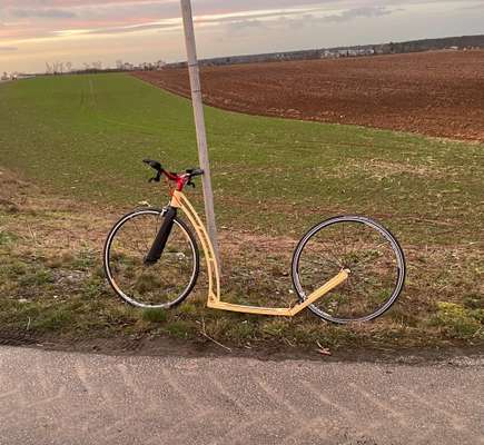 Tretroller Alternative zu Fahrrad?-Beitrag-Bild