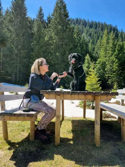 Tongue Out Tuesday-Beitrag-Bild