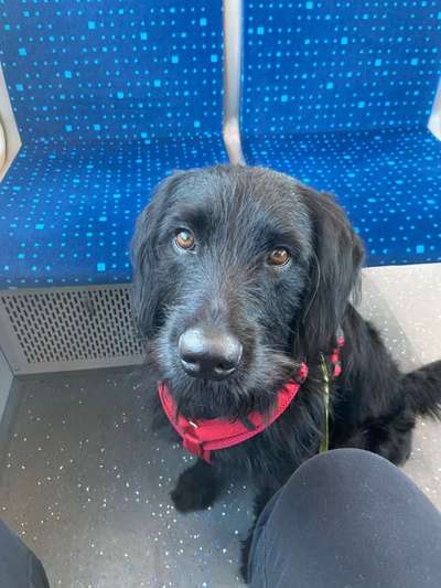 Fotochallange 84-Beitrag-Bild