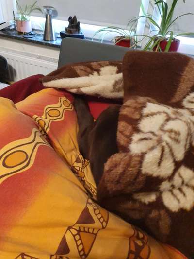 Challenge 21 - wo bin ich : )-Beitrag-Bild