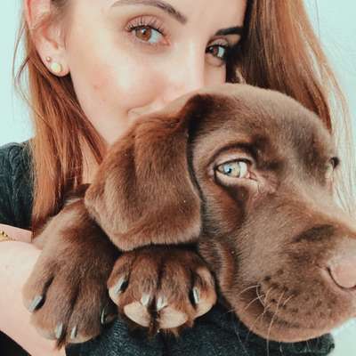 Hundetreffen-Treffen mit Gleichaltrigen-Profilbild