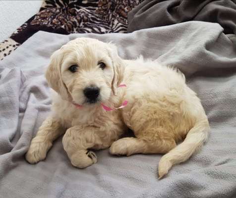 Fotochallange Nummer 5-Beitrag-Bild