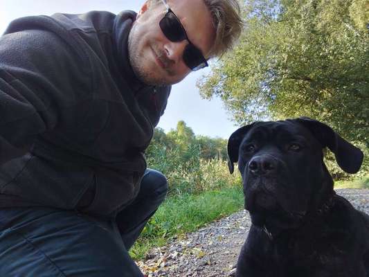 Hundetreffen-Junghundetreffen große Rassen.-Bild