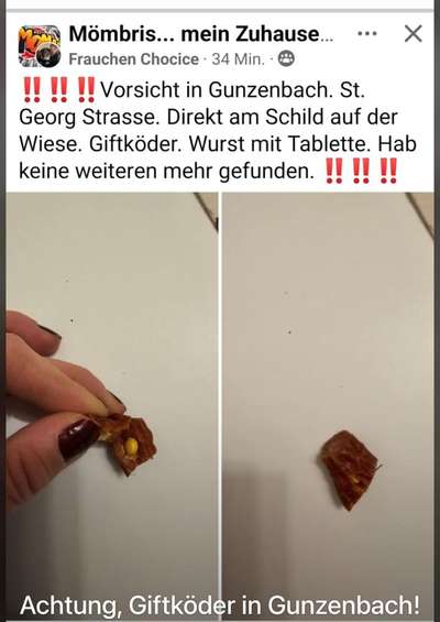 Giftköder-Wurststücke mit Tabletten-Bild