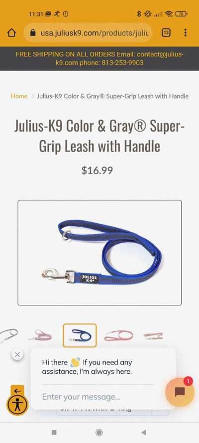 Rhodesian Ridgeback-Beitrag-Bild