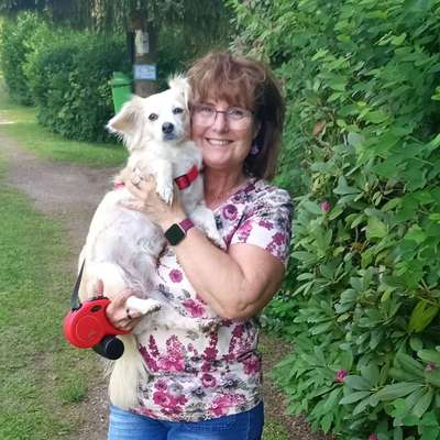 Inge's Profilbild