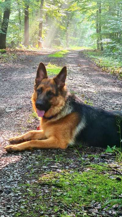 Fotochallenge Nr. 67: Euer Lieblingsbild-Beitrag-Bild