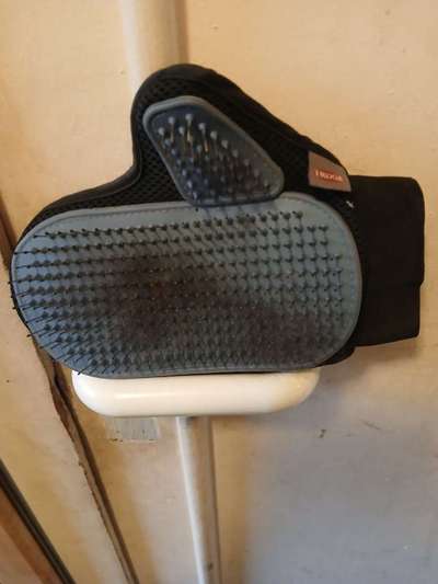 Wie oft bürstet ihr euren Hund im Fellwechsel?-Beitrag-Bild