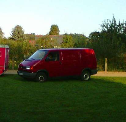 DEIN prefektes Hundeauto-Beitrag-Bild