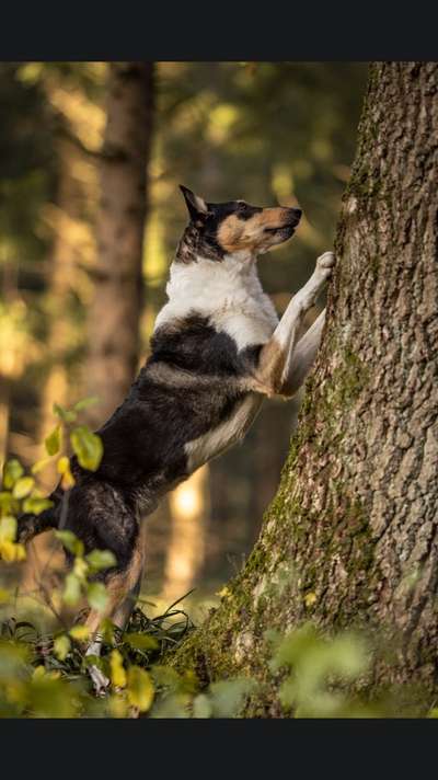 Dogorama Photo Challenge - Der Frühling kommt-Beitrag-Bild