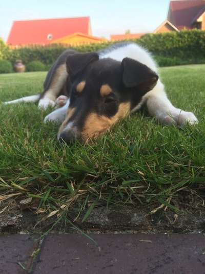 Erstes Bild-Beitrag-Bild