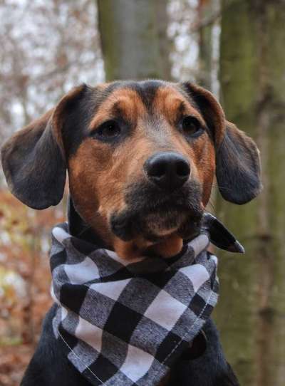 Fotochallange Nr. 57     PORTRÄT.   Beendet!!!!!!!!-Beitrag-Bild