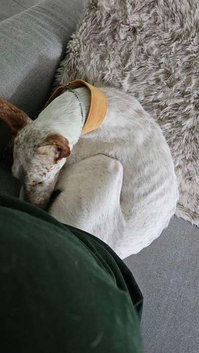 Analyse & Interpretation von Verhalten-Beitrag-Bild