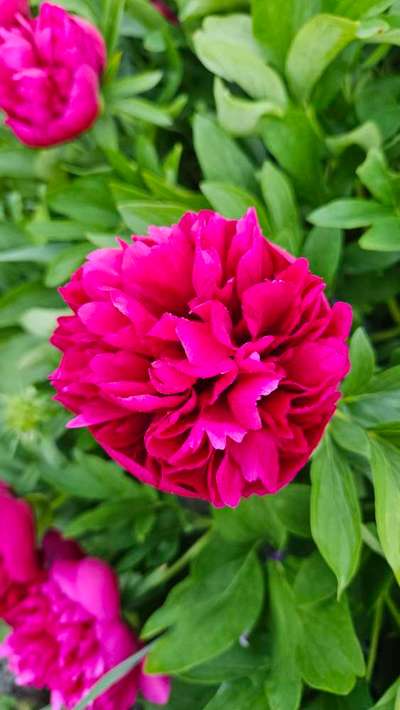 Was hat euch heute gefreut?-Beitrag-Bild