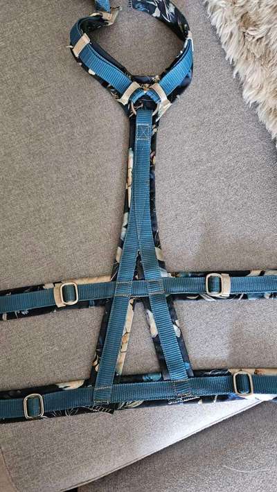 Wie sitzt mein Geschirr?-Beitrag-Bild