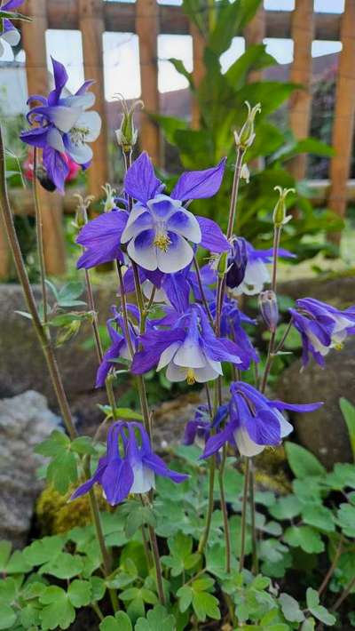 Was hat euch heute gefreut?-Beitrag-Bild