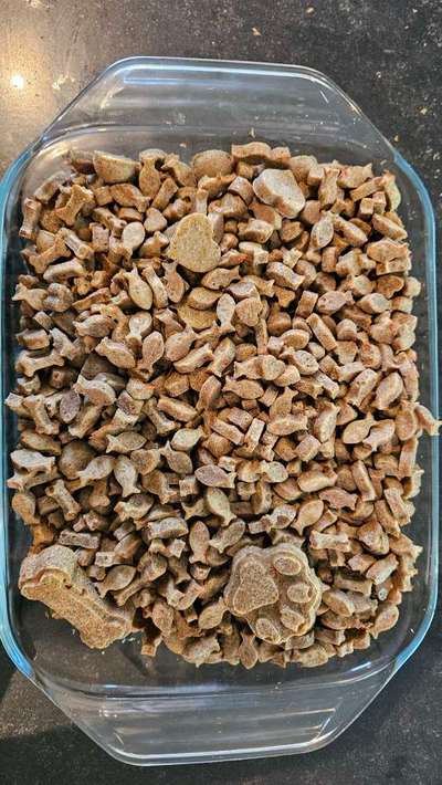 TierschutzhundeStammtisch🐕-Beitrag-Bild