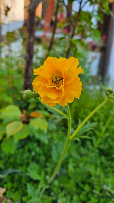 Was hat euch heute gefreut?-Beitrag-Bild