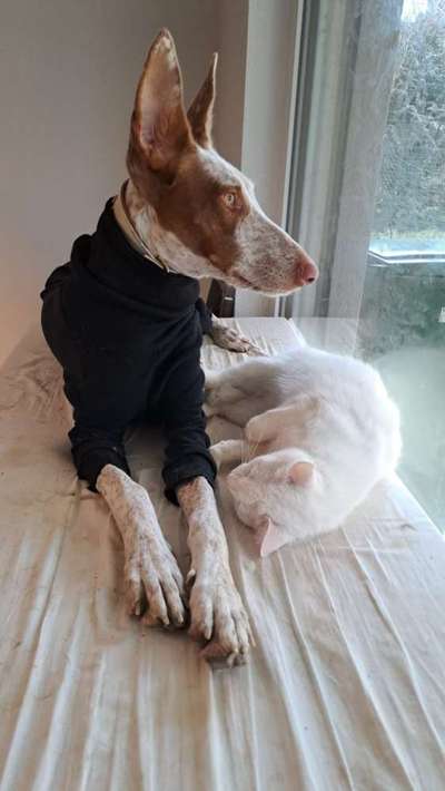 69. Handy-Fotochallenge: Soundtrack-Beitrag-Bild