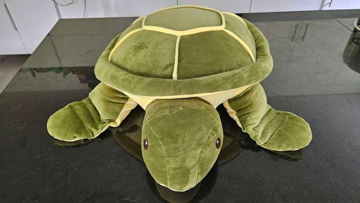 TierschutzhundeStammtisch🐕-Beitrag-Bild