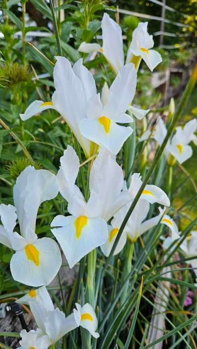 Was hat euch heute gefreut?-Beitrag-Bild