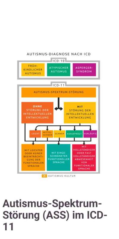 TierschutzhundeStammtisch🐕-Beitrag-Bild