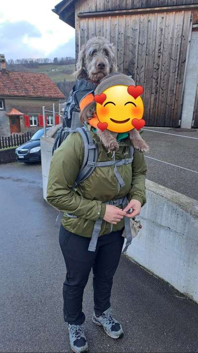 TierschutzhundeStammtisch🐕-Beitrag-Bild