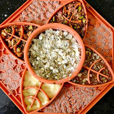 TierschutzhundeStammtisch🐕-Beitrag-Bild