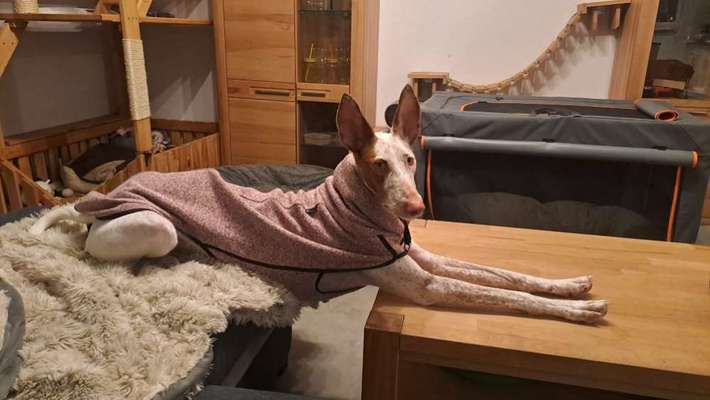 Was hat euch heute gefreut?-Beitrag-Bild