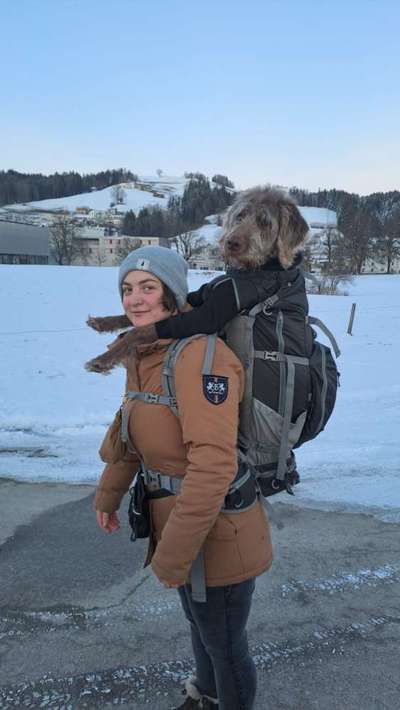 TierschutzhundeStammtisch🐕-Beitrag-Bild