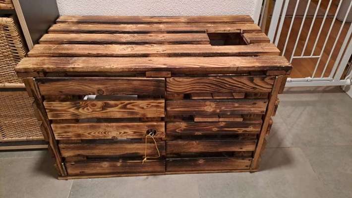 Kratzen,  Pfoten lecken, riecht stark,  grosses Problem Katzenkot fressen-Beitrag-Bild