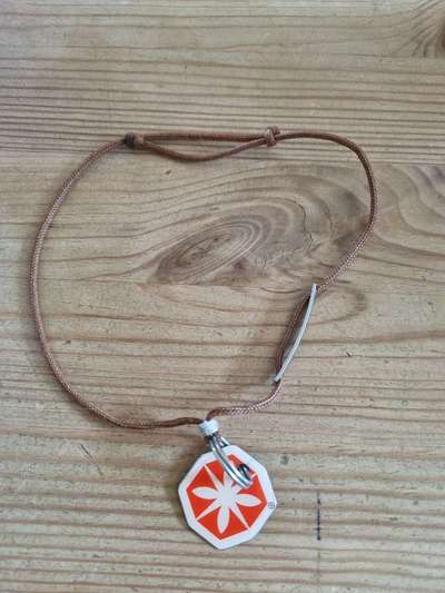 Immer wieder das leidige Thema Zecken-Beitrag-Bild