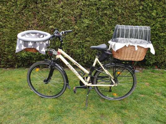 Fahrradfahren mit kleinem Hund-Beitrag-Bild