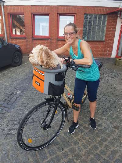 Fahrradfahren mit kleinem Hund-Beitrag-Bild