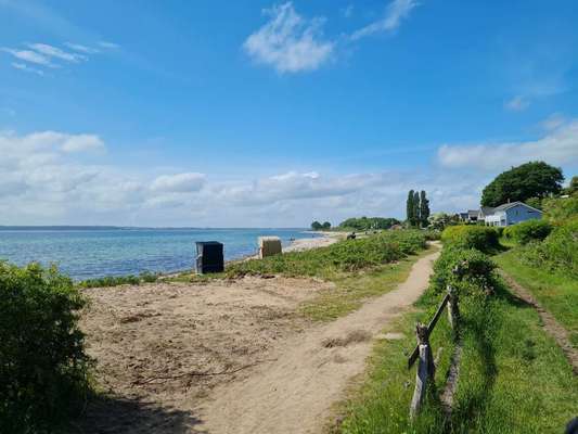 Die wunderschöne Welt mit Hund.-Beitrag-Bild