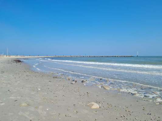 Die wunderschöne Welt mit Hund.-Beitrag-Bild