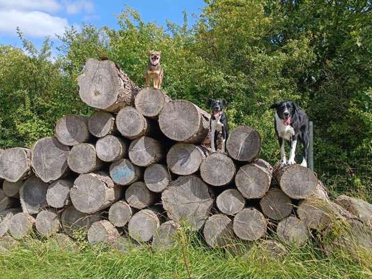 Theos Fotochallenge Nr. 3-Beitrag-Bild