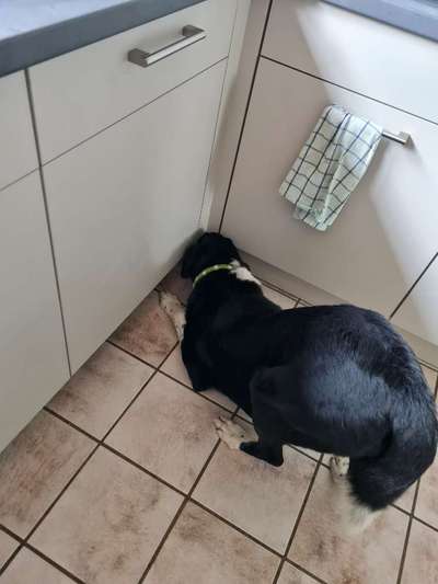 Fotochallange 84-Beitrag-Bild