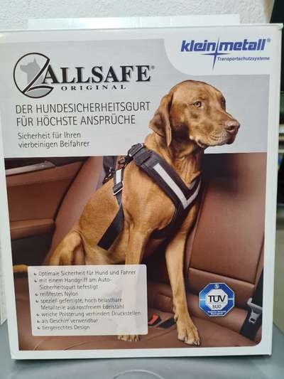 Hunde-Autositz-Beitrag-Bild