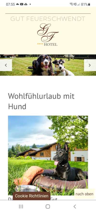 Urlaub mit Hund in Baden-Württemberg (Schwarzwald) oder Richtung Bayern (Allgäu)-Beitrag-Bild