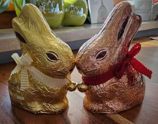 Freundschaftsanfragen-Beitrag-Bild