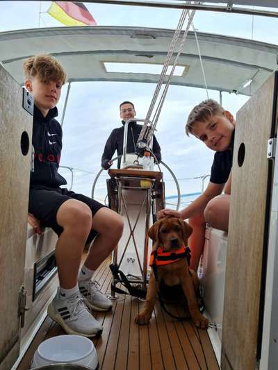 Dogorama Photo Challenge - Tierischer Urlaub-Beitrag-Bild