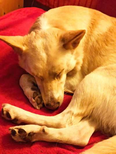 Schlafzeit!💖-Beitrag-Bild